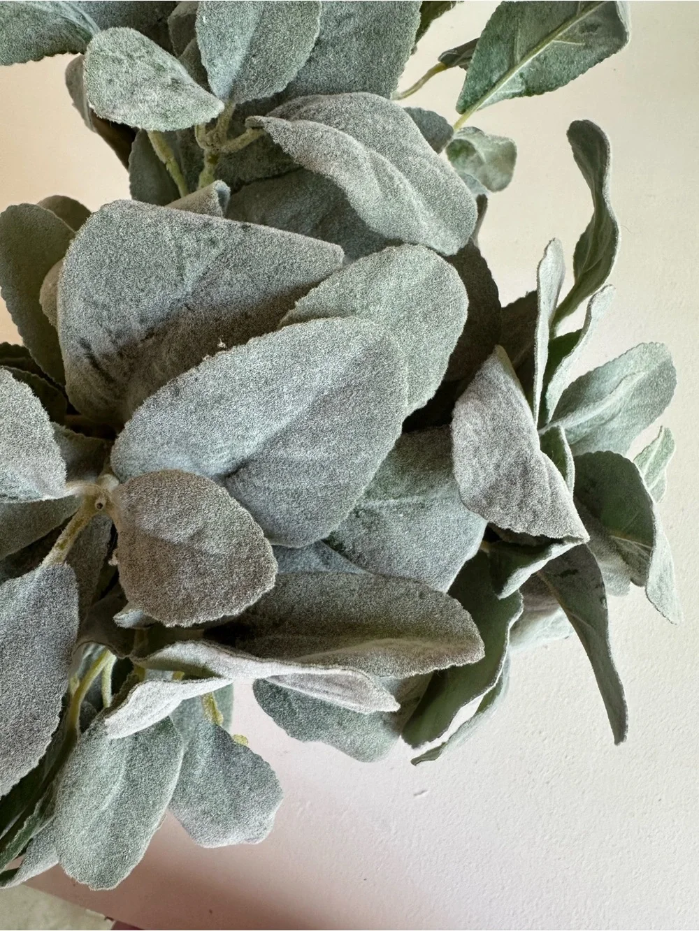 Soft Lamb's Ear Faux Foliage Stem - Dusty Sage | Set of 3